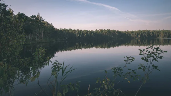 Vacker Utsikt Över Himlen Över Skog Och Lugn Sjö — Stockfoto