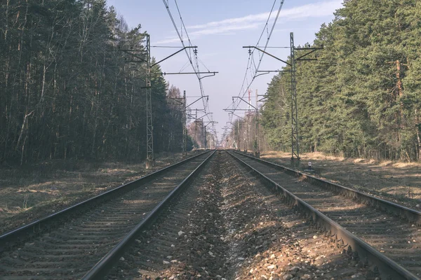 Железнодорожные Пути Туманном Лесу Зеленой Листвой — стоковое фото