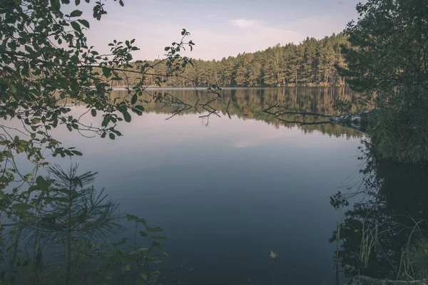 Malerischer Blick Auf Den Himmel Über Wald Und Ruhigen See — Stockfoto