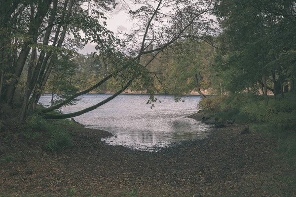 Schilderachtig Uitzicht Lake Groene Bomen Rond — Stockfoto