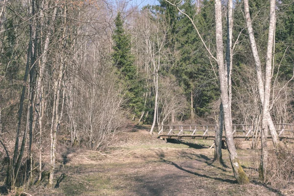 Aussichtsreiche Aussicht Auf Touristischen Fußweg Grünen Wald — Stockfoto