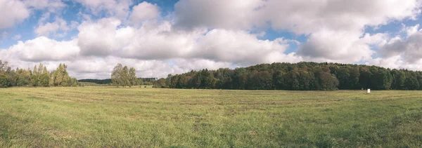 Scenic View Cultivated Wheat Field Summer — Stock Photo, Image