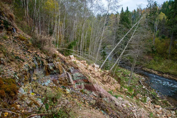 Rotsachtige Bos Amata Rivier Met Lage Stroom Zomer Letland — Stockfoto