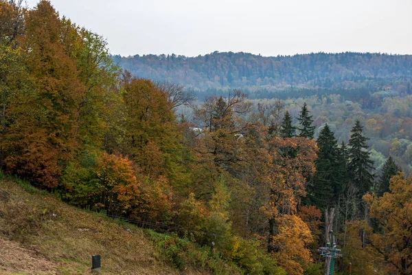 Vista Panorâmica Paisagem Floresta Outono — Fotografia de Stock