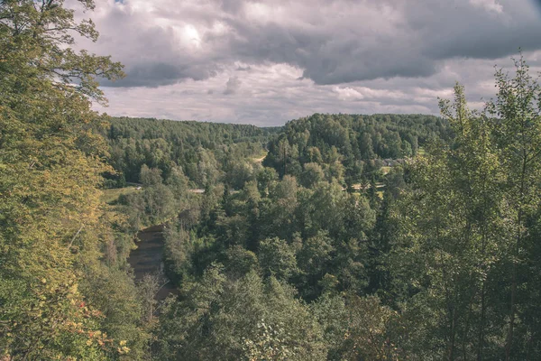 Amata Річка Латвії Зеленим Лісом Навколо Влітку — стокове фото