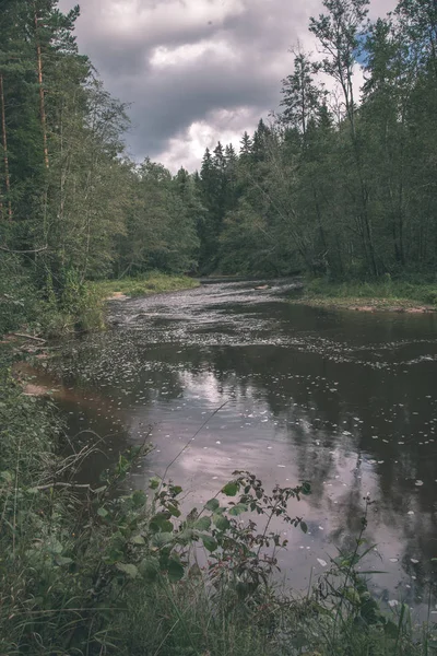 Amata Річка Латвії Зеленим Лісом Навколо Влітку — стокове фото