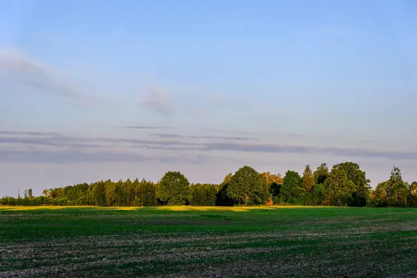Piękny Widok Koniec Jesień Krajobraz Wiejski — Zdjęcie stockowe