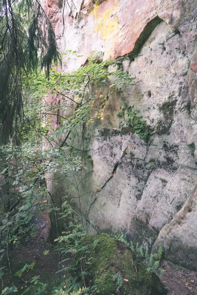 Kırmızı Kumtaşı Kayalıklarla Turist Letonya Ile — Stok fotoğraf