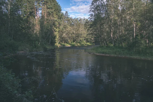 拉脱维亚阿马塔河夏季有绿色森林 — 图库照片