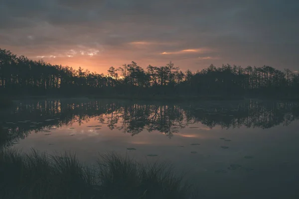 Matin Brumeux Sur Les Lacs Marécageux Fin Automne — Photo