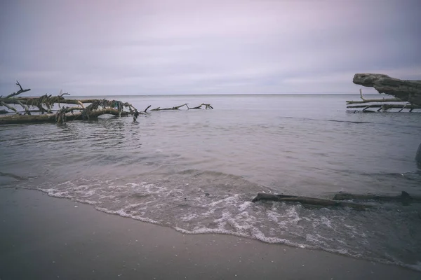 Strand Details Met Zand Droge Takken — Stockfoto