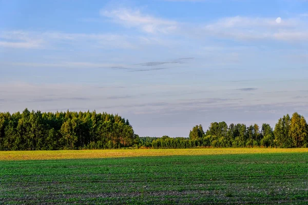 Piękny Widok Koniec Jesień Krajobraz Wiejski — Zdjęcie stockowe