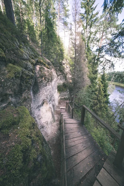 Touristenpfad Mit Holzweg Wald Lettland — Stockfoto