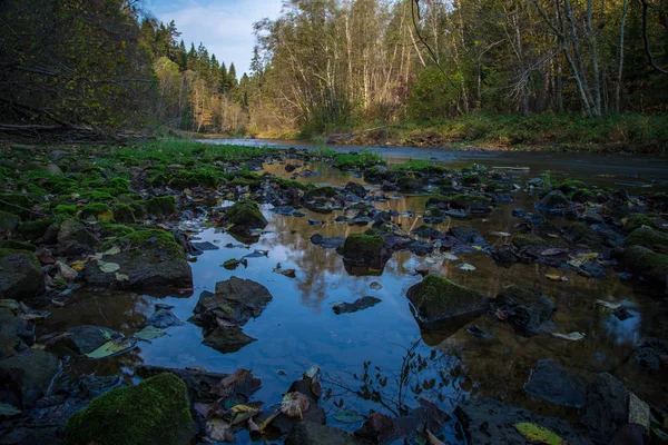 Floresta Rochosa Rio Amata Com Baixo Fluxo Verão Letónia — Fotografia de Stock