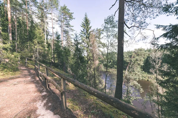 Nehir Letonya Ile Yeşil Orman Manzaralı Görünüm — Stok fotoğraf