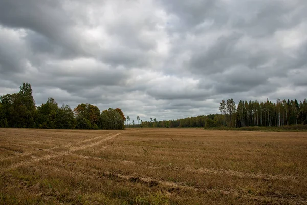 Piękny Widok Koniec Jesień Krajobraz Wiejski — Zdjęcie stockowe