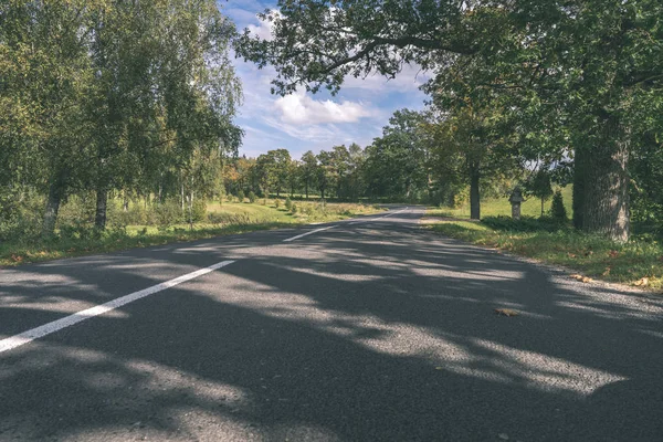 Empty Road Large Trees Both Sides Latvia — Stock Photo, Image