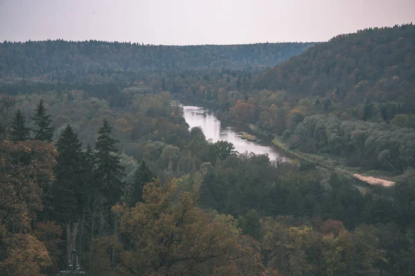 Luonnonkaunis Näkymä Syksyn Metsämaisemaan — kuvapankkivalokuva