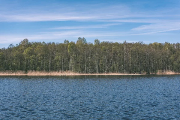 Vista Panoramica Sul Lago Sugli Alberi Verdi Intorno — Foto Stock