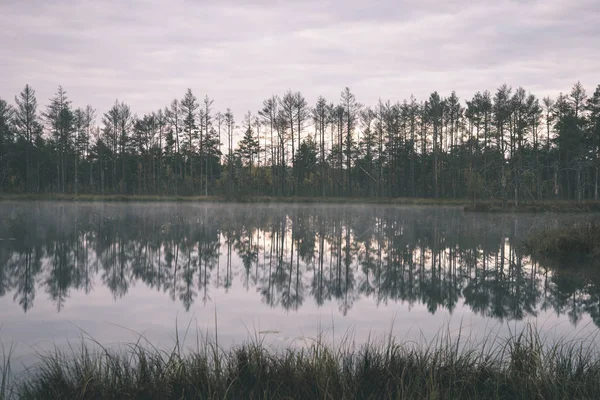 在深秋沼泽湖的雾蒙蒙的早晨 — 图库照片