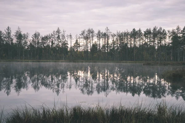 Matin Brumeux Sur Les Lacs Marécageux Fin Automne — Photo