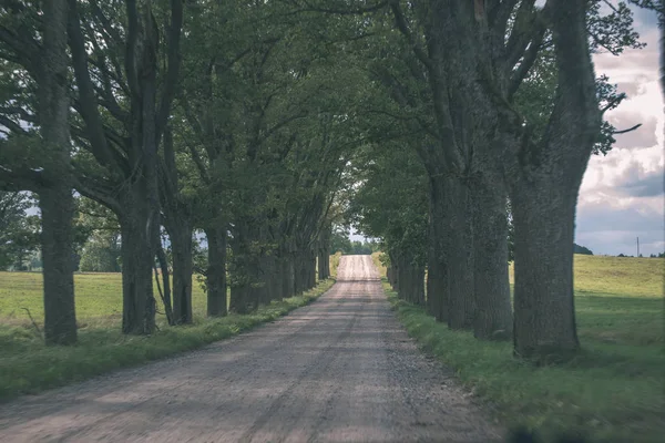 Route Campagne Lettonie Avec Grands Arbres Des Deux Côtés — Photo