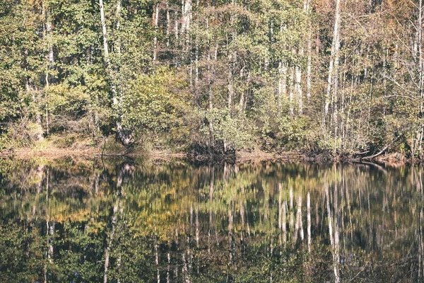 Vue Panoramique Sur Paysage Forestier Automne Avec Arbres Rivière — Photo