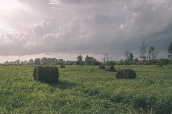 Malerischer Blick Auf Das Bewirtschaftete Weizenfeld Sommer — Stockfoto