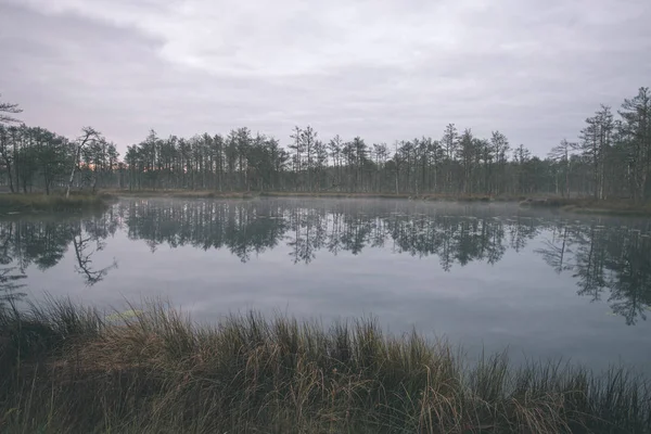 Pagi Berkabut Atas Danau Rawa Akhir Musim Gugur — Stok Foto