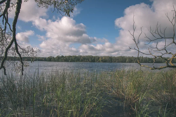 Vista Panorâmica Lago Árvores Verdes Redor — Fotografia de Stock