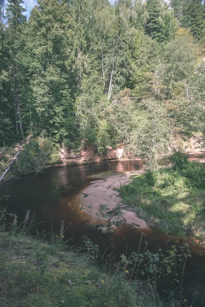 Rivière Amata Lettonie Avec Forêt Verte Autour Été — Photo