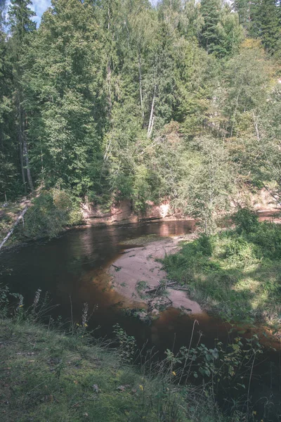 Río Amata Letonia Con Bosque Verde Verano —  Fotos de Stock