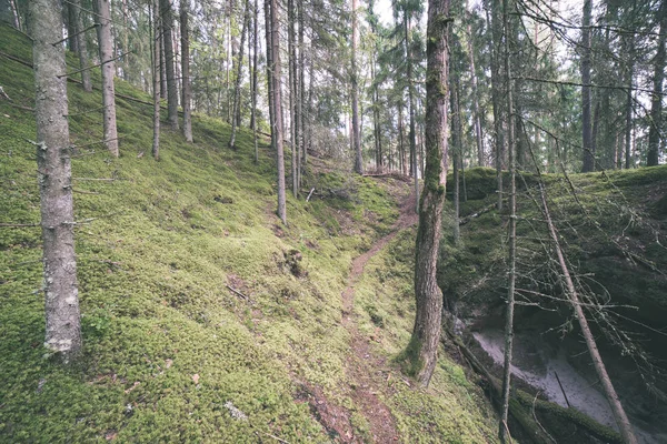 Klify Piaskowiec Czerwony Szlak Turystyczny Łotwie — Zdjęcie stockowe