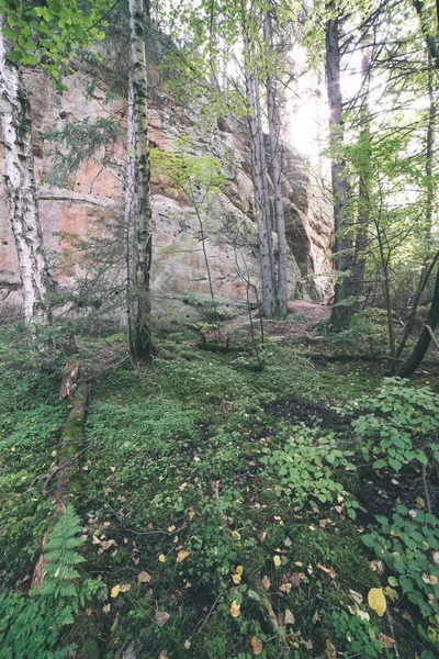 红色砂岩悬崖与旅游小道在拉脱维亚 — 图库照片