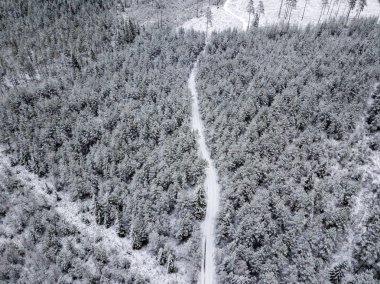 kışın karlı ağaçları ile orman alanının havadan görünümü