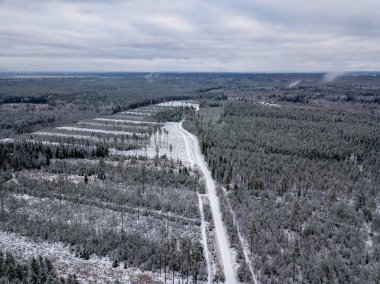 kışın karlı ağaçları ile orman alanının havadan görünümü