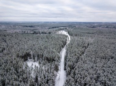 kışın karlı ağaçları ile orman alanının havadan görünümü