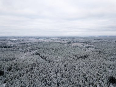 kışın karlı ağaçları ile orman alanının havadan görünümü