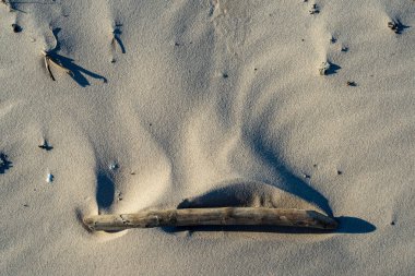 Baltık Denizi, sahilde kum doku