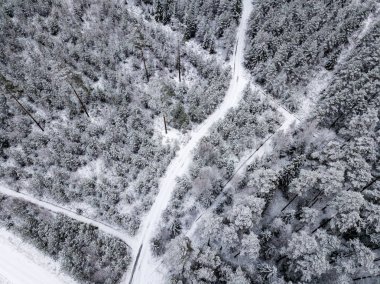 kışın karlı ağaçları ile orman alanının havadan görünümü