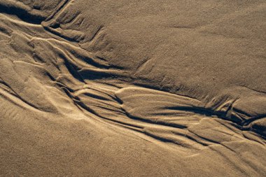 Baltık Denizi, sahilde kum doku