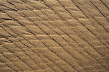 Baltık Denizi, sahilde kum doku
