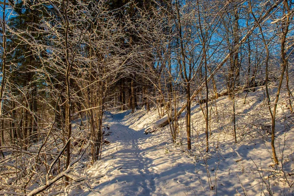 Зимняя Дорога Покрытыми Снегом Следами Шин — стоковое фото