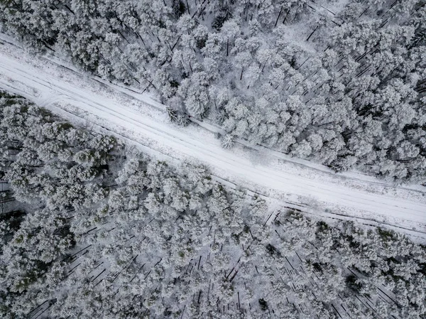 Aerial View Forest Area Winter Snowy Trees — Stock Photo, Image