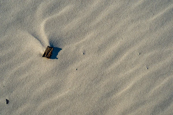 Sand Texture Beach Baltic Sea — Stock Photo, Image