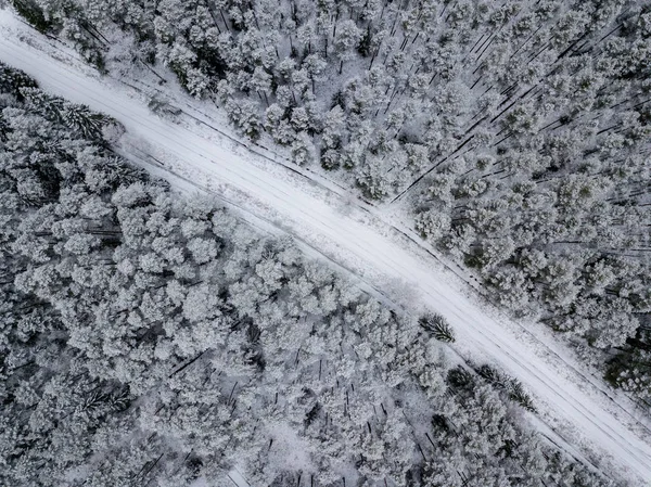 Luftaufnahme Von Waldgebiet Winter Mit Schneebedeckten Bäumen — Stockfoto