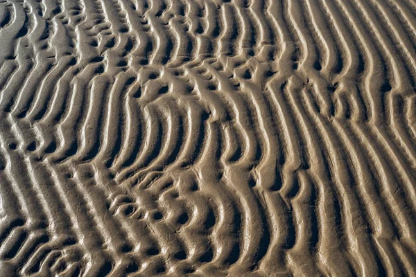 Textura Areia Praia Mar Báltico — Fotografia de Stock