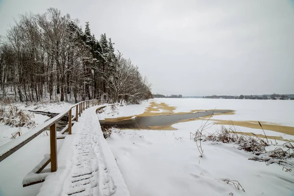 Vacker Utsikt Över Snöiga Trail Träsket Lettland — Stockfoto