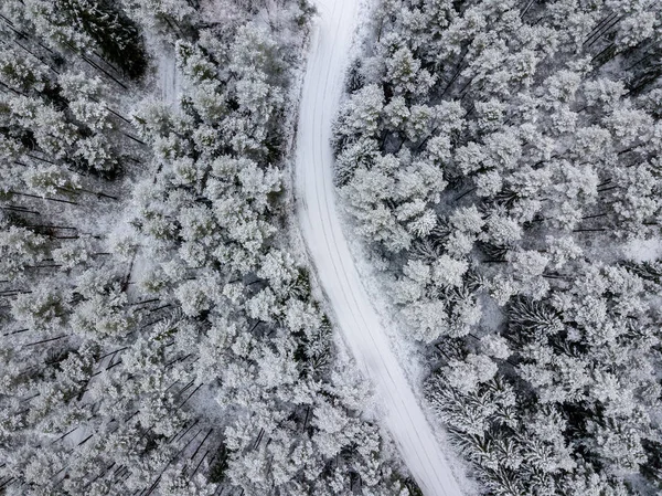 Luftaufnahme Von Waldgebiet Winter Mit Schneebedeckten Bäumen — Stockfoto