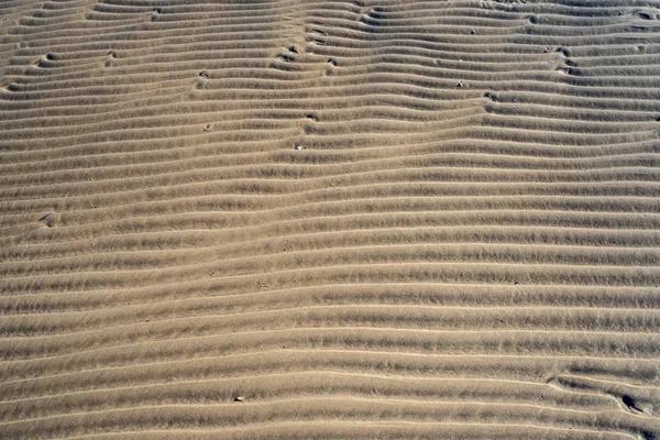 Textura Areia Praia Mar Báltico — Fotografia de Stock